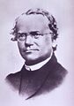 Gregor Mendel [WikiCommons]